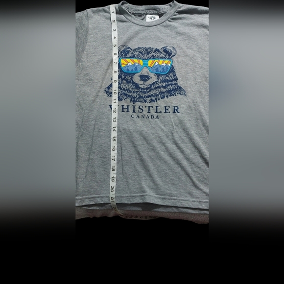 Whistler Reflect Mountain Bear T-Shirt Youth Men Heather/Grey Medium - Picture 3 of 4